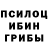Галлюциногенные грибы Cubensis Angrij FF