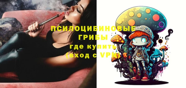 ECSTASY Аркадак