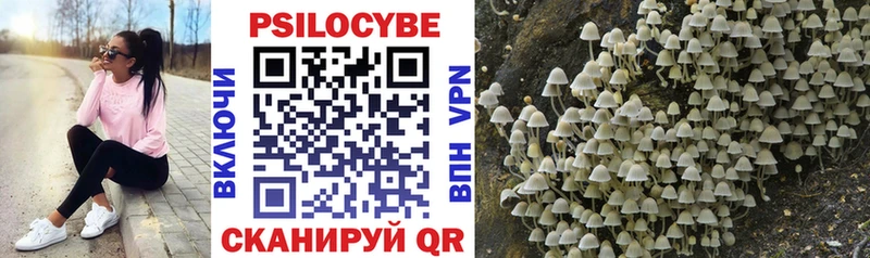 Галлюциногенные грибы Psilocybe  KRAKEN как зайти  Новый Оскол 